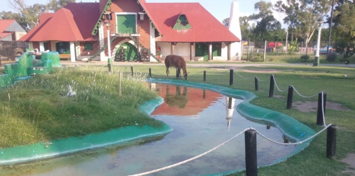 1548721705310.jpeg?x=6&height=634&ow=1280&scaleY=1&oh=960&y=0&width=1267&rotate=0&scaleX=1&&cw=1920&ch=950