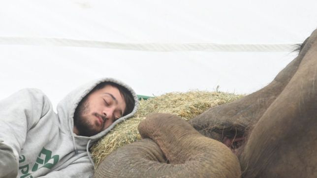 la historia detras de la foto de pelusa y su cuidador que conmovio a la ciudad
