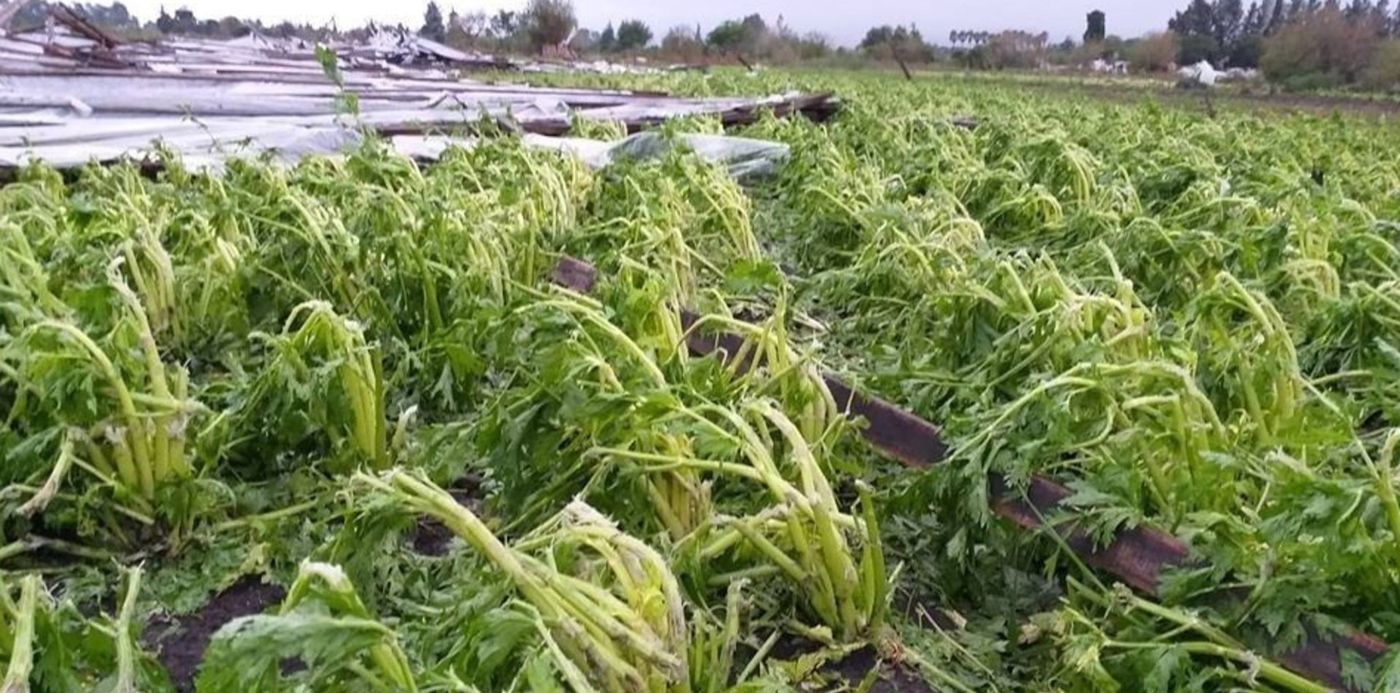 1551391383531.jpg?scaleY=1&oh=480&y=6&width=947&rotate=0&scaleX=1&x=26&height=474&ow=987&&cw=1920&ch=950