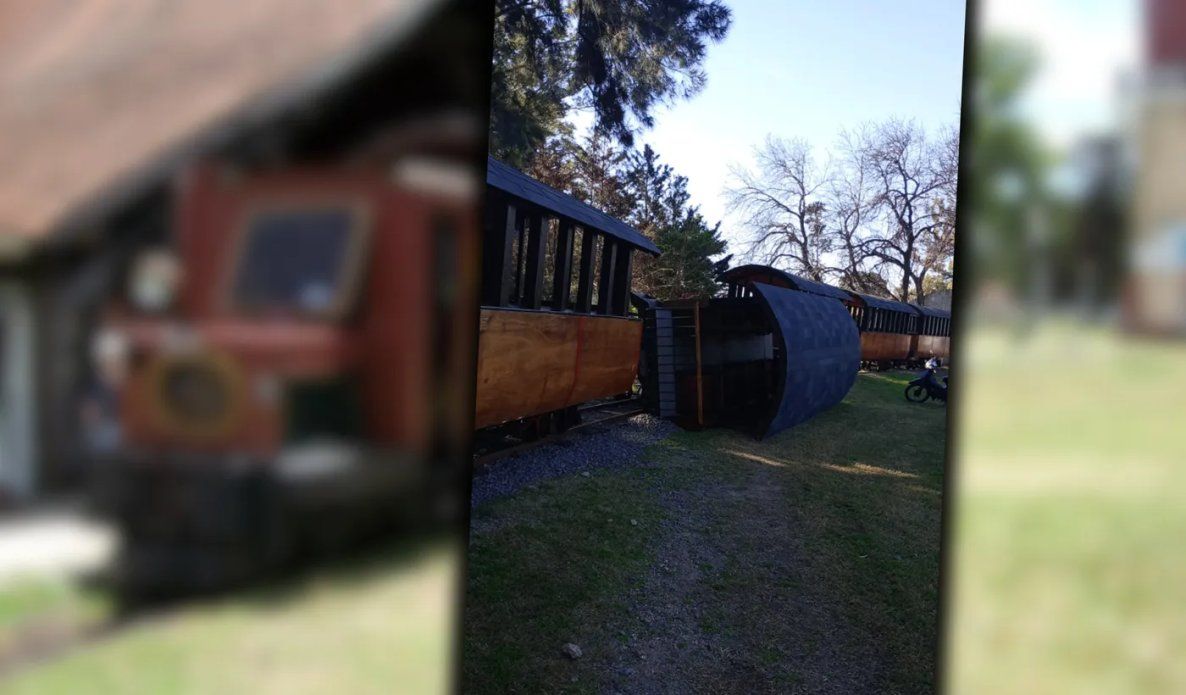 tren descarrilado.jpg