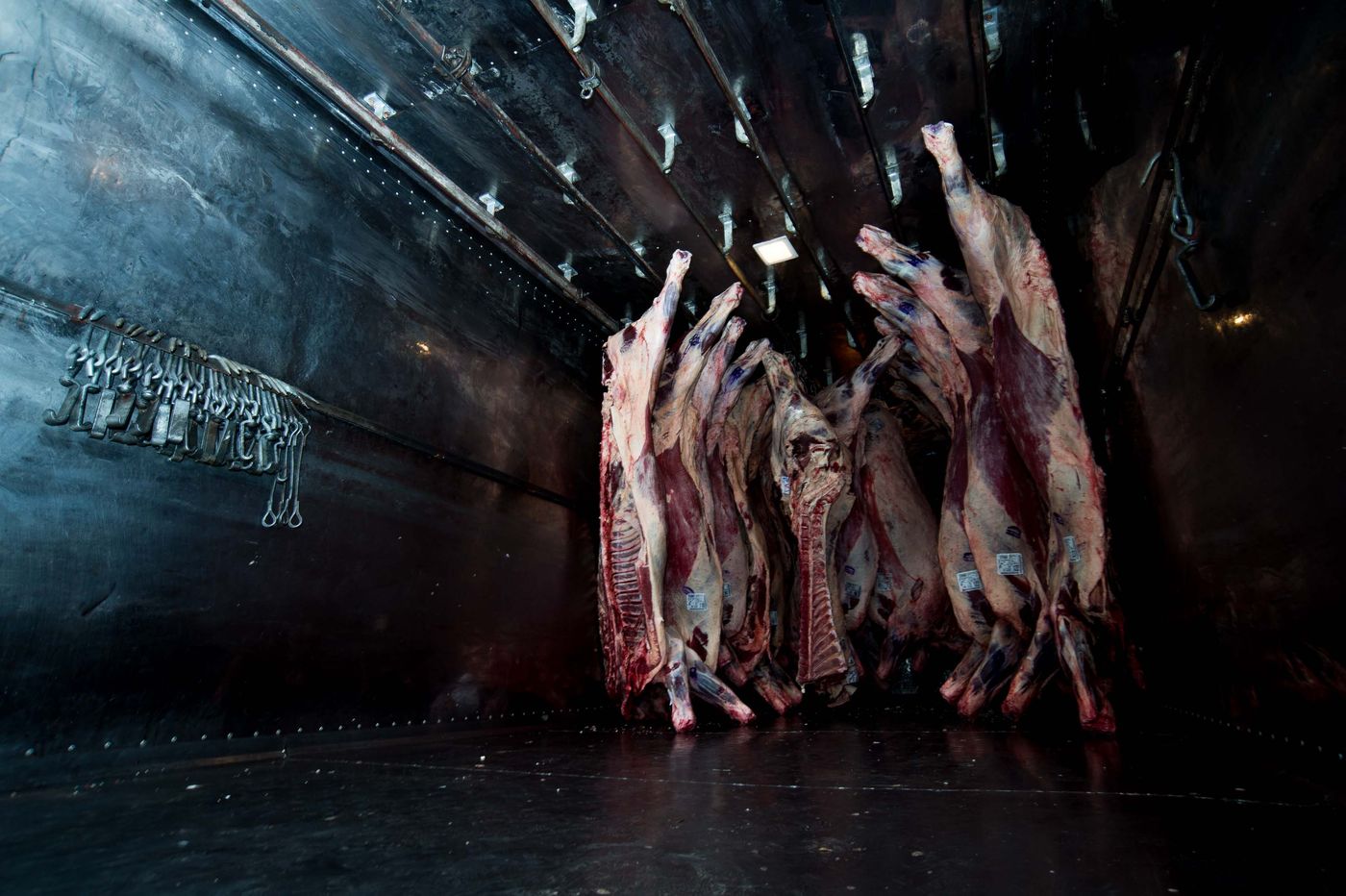 Carne frigorífico (1).jpg