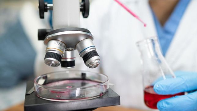 provincia lanzo becas de $960.000 para investigar temas de salud publica