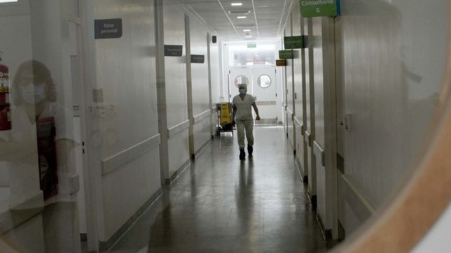 covid-19 en argentina: confirman menos de 500 casos en las ultimas 24 horas