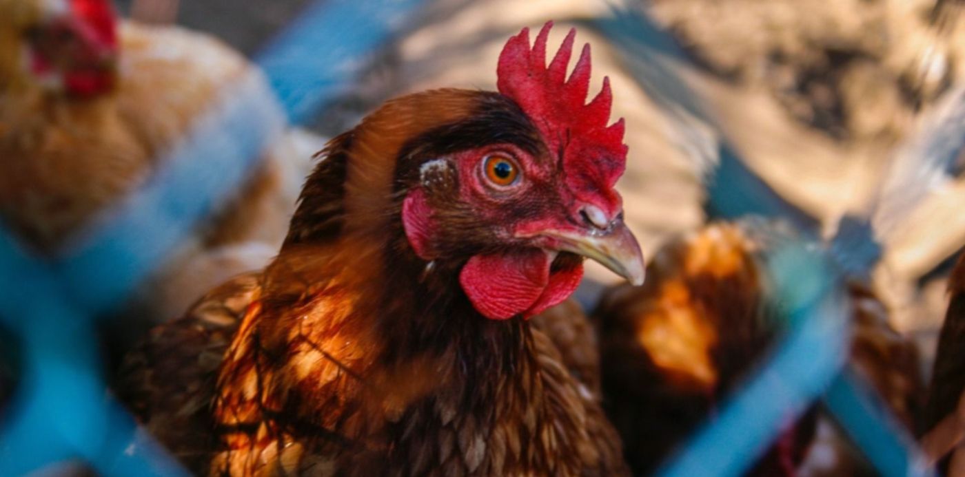 1677156135830.jpg?x=7&y=104&width=1486&height=743&rotate=0&scaleX=1&scaleY=1&ow=1500&oh=1001&&cw=1920&ch=950