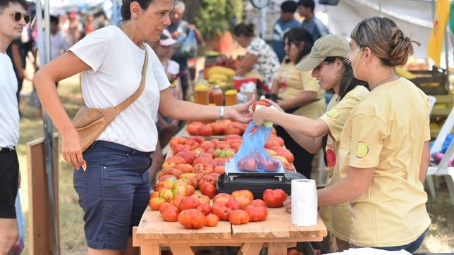 con food trucks, charlas de especialistas y musica en vivo, llega la 20ª edicion de la fiesta del tomate platense