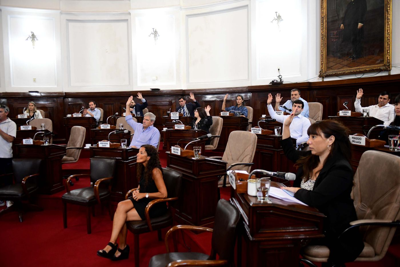 concejo deliberante defensora ciudadana luciana bartoli_0019 (17).jpg