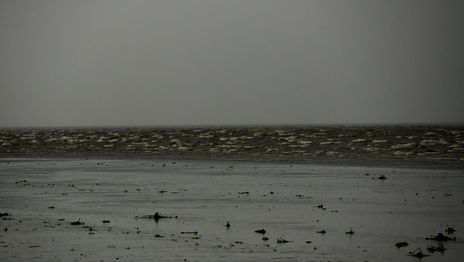 La Justicia embargó a la Provincia por $157 mil millones por el grave problema cloacal en La Plata y la región La Justicia embargó a la Provincia por $157 mil millones por el grave problema cloacal en La Plata y la región