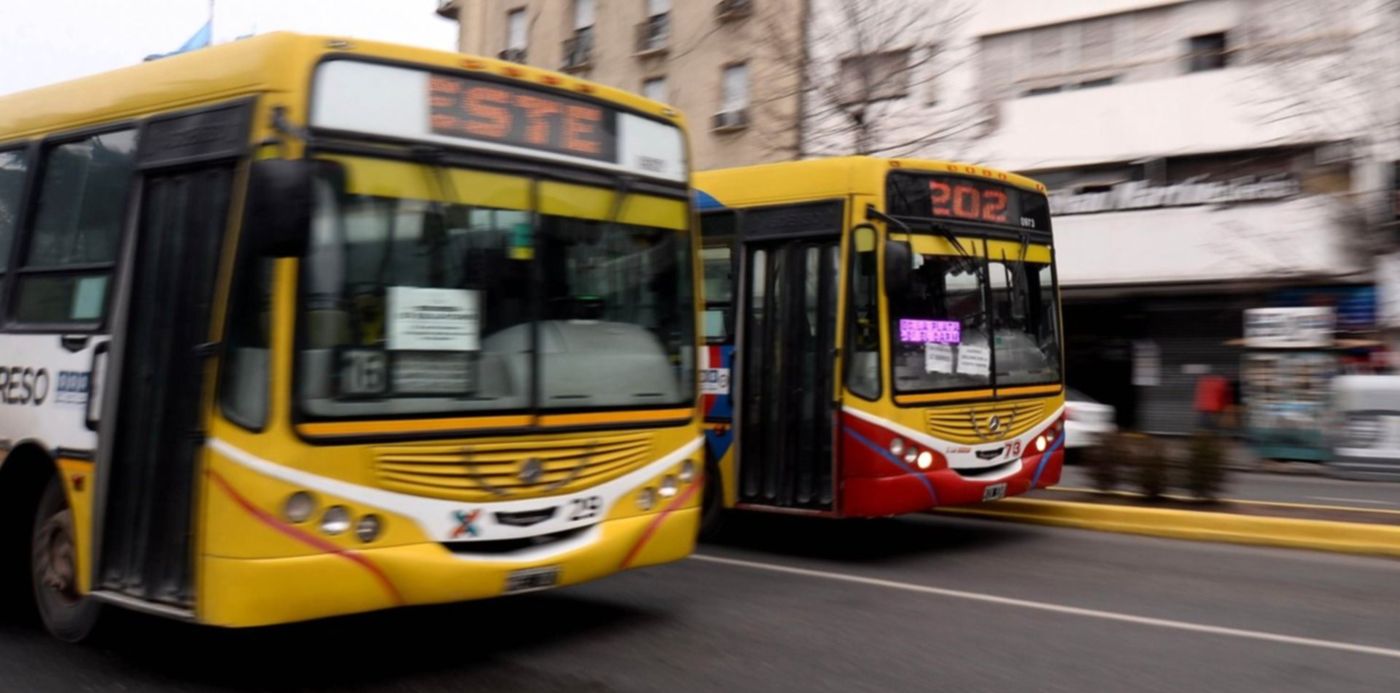 1592992591753.jpg?x=4&y=246&width=1491&height=746&rotate=0&scaleX=1&scaleY=1&ow=1500&oh=1121&&cw=1920&ch=950