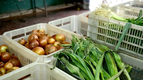Los productos de la canasta alimentaria que más aumentaron en La Plata durante octubre