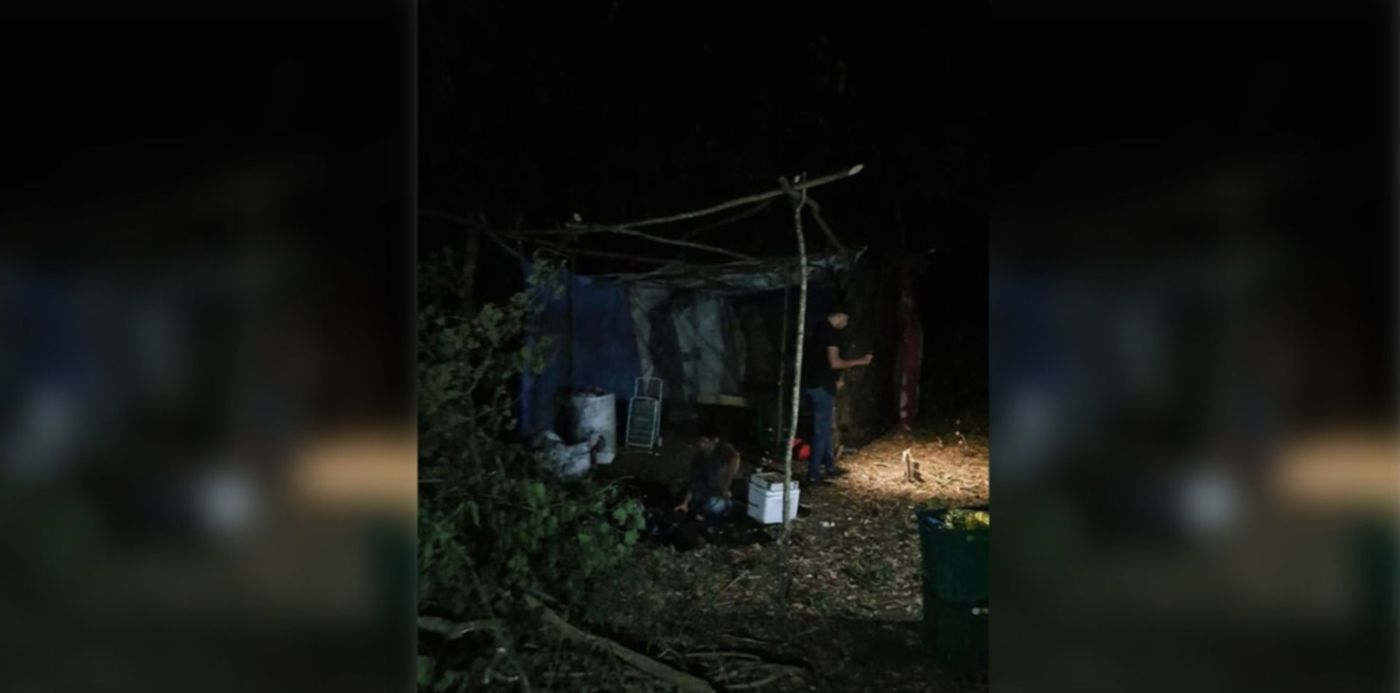 1615498855565.jpg?x=7&y=9&width=1485&height=743&rotate=0&scaleX=1&scaleY=1&ow=1500&oh=807&&cw=1920&ch=950