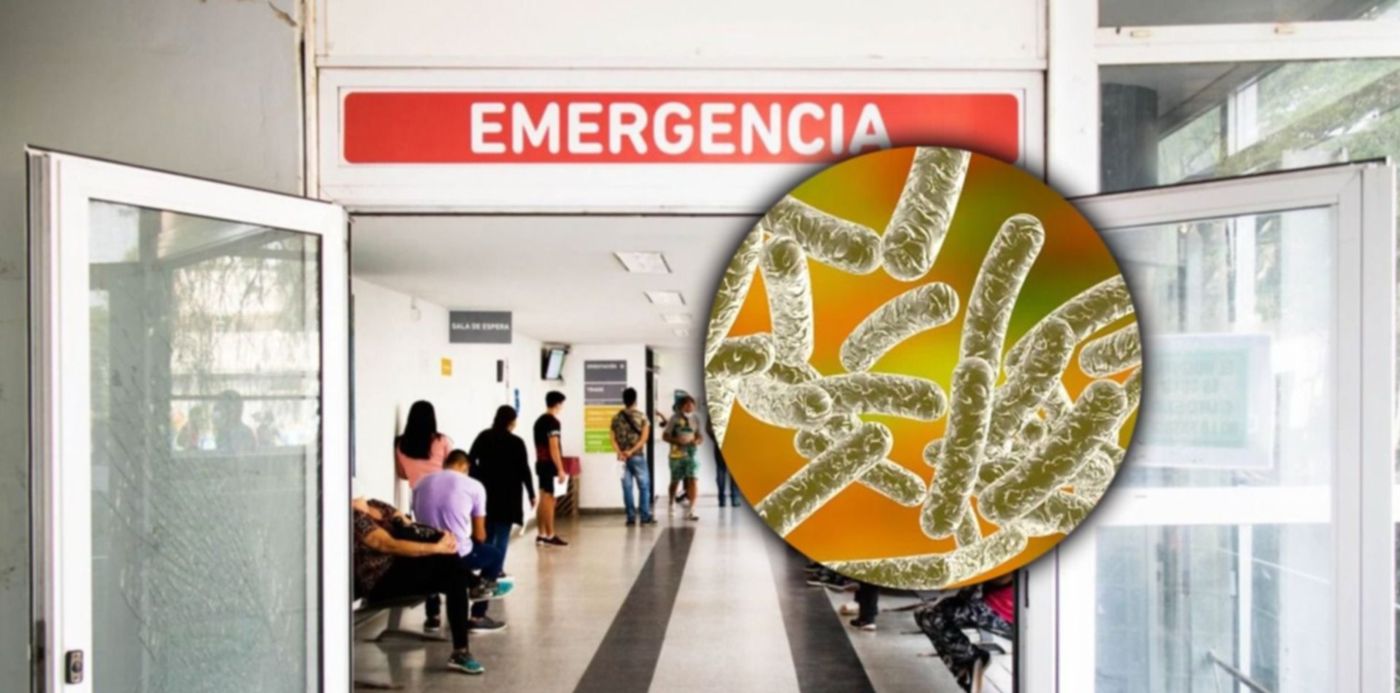 1678914515623.jpg?x=3&y=0&width=1484&height=742&rotate=0&scaleX=1&scaleY=1&ow=1500&oh=742&&cw=1920&ch=950