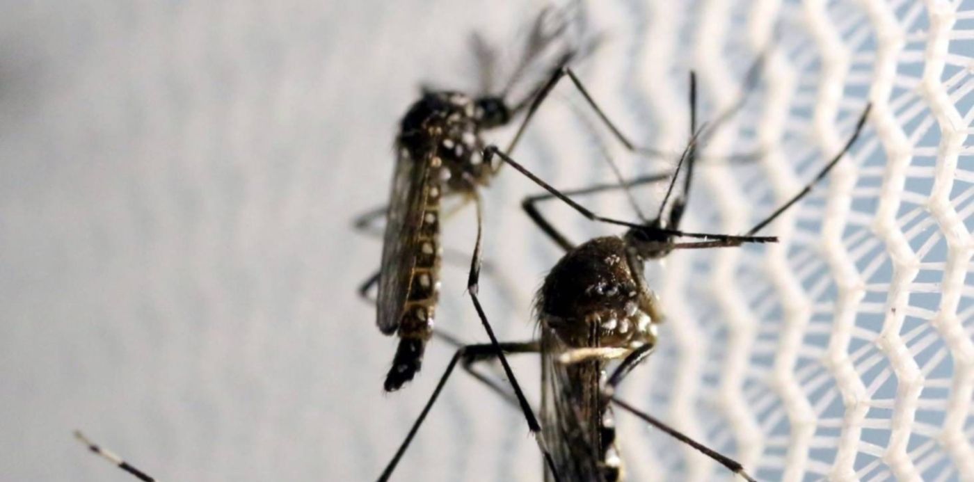 1582765968483.jpg?&cw=1920&ch=950