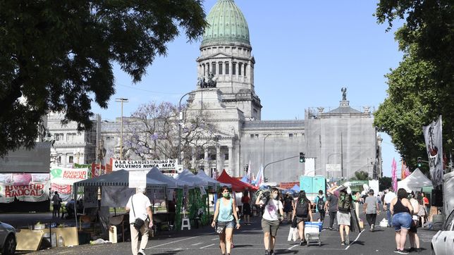 el debate en diputados para tratar la ley del aborto