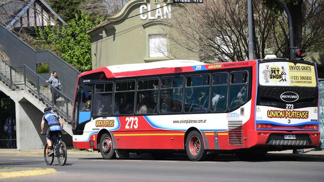 tras el aumento de los micros en el amba, ¿que pasara con los servicios de la plata?