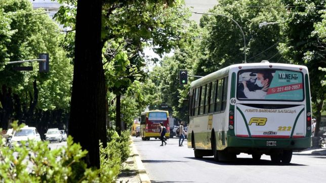cobertura, recorridos y paradas: los ejes del nuevo sistema de transporte en la plata