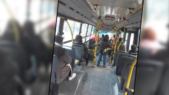 amontonados y sin distancia social, asi se viaja en algunos micros de la plata