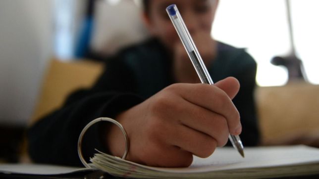 aseguran que 30 escuelas privadas estan en riesgo de cerrar en la provincia