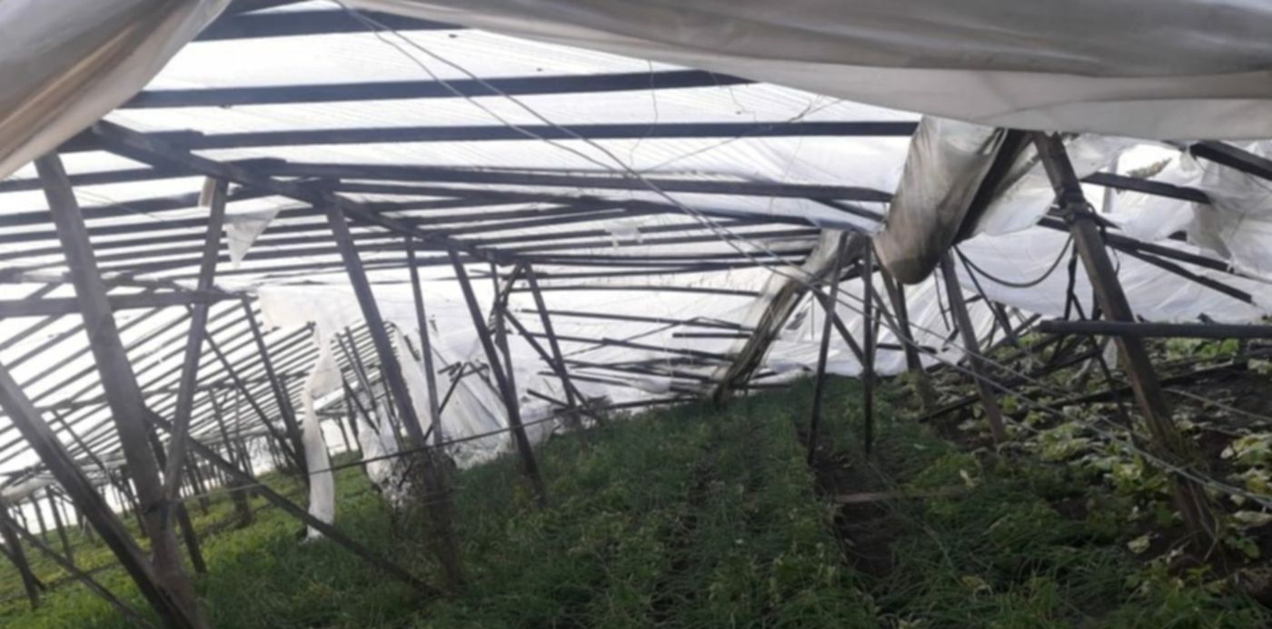 1537741068426.jpeg?y=52&scaleX=1&height=515&rotate=0&scaleY=1&ow=1032&oh=774&x=3&width=1029&&cw=1920&ch=950