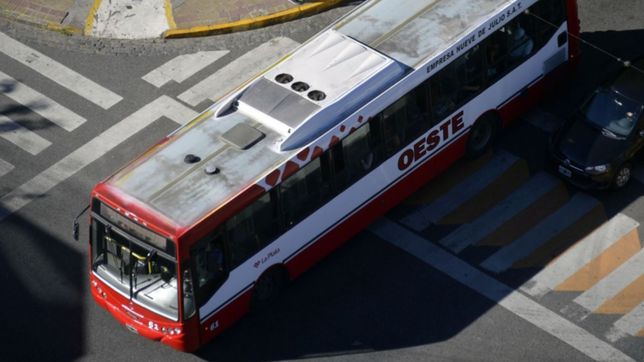 ¿como funcionaran los micros y trenes en la plata durante el feriado nacional?