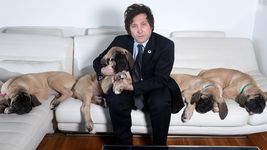 el insolito motivo por el que milei eligio a cordoba para firmar el pacto del 25 de mayo el insolito motivo por el que milei eligio a cordoba para firmar el pacto del 25 de mayo