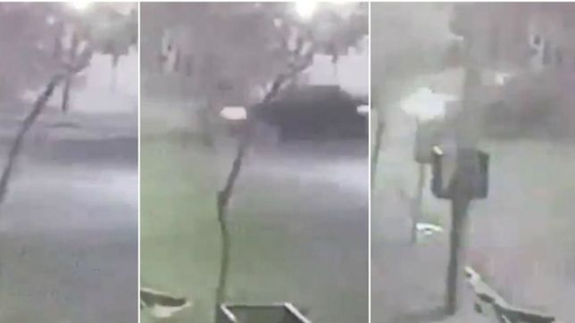 video: lo choco un auto, lo dejaron abandonado y ahora lucha por su vida