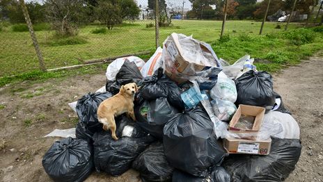 Vecinos cargaron contra la municipalización de la recolección de la basura en La Plata Vecinos cargaron contra la municipalización de la recolección de la basura en La Plata