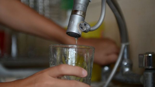 tras la aparicion de algas, absa informo que se normalizo el servicio de agua en la plata