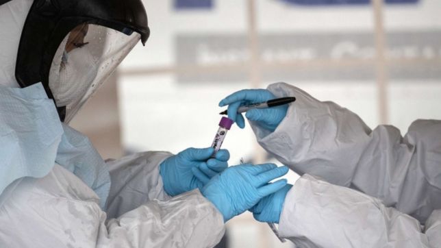 esta cuarentena llego para quedarse, la palabra de una experta en medio de la pandemia por coronavirus