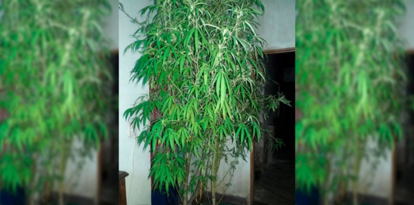 1552737224962.jpg?&cw=1920&ch=950