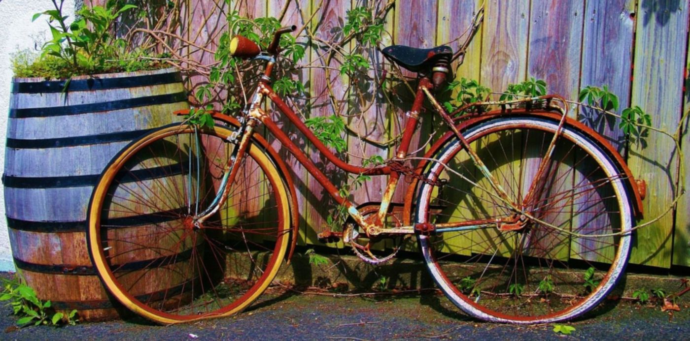 1597934666222.jpg?x=4&y=365&width=1491&height=746&rotate=0&scaleX=1&scaleY=1&ow=1500&oh=1121&&cw=1920&ch=950