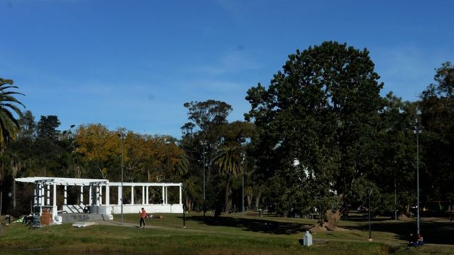 la semana empieza con un lunes fresco y soleado en la plata