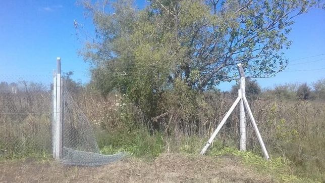 drama en un hogar para personas con discapacidad: les robaron el alambrado perimetral