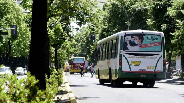 buscan garantizar que mujeres y trans sean tomadas para manejar taxis y micros en la plata