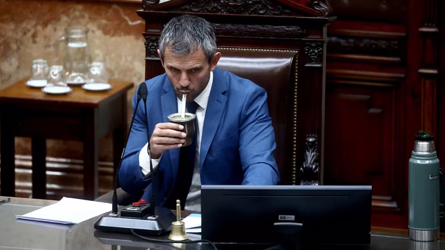 pongo las manos en el fuego por lule y karina milei: martin menem defendio al gobierno