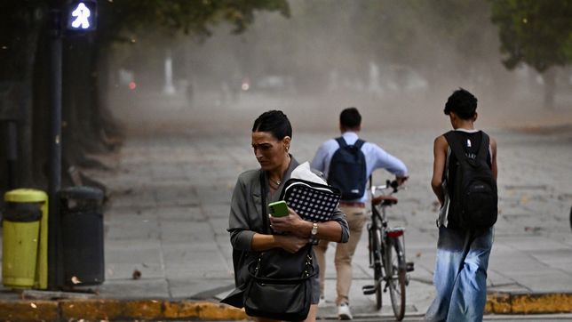 emitieron un alerta amarillo por tormentas fuertes en la plata y la region