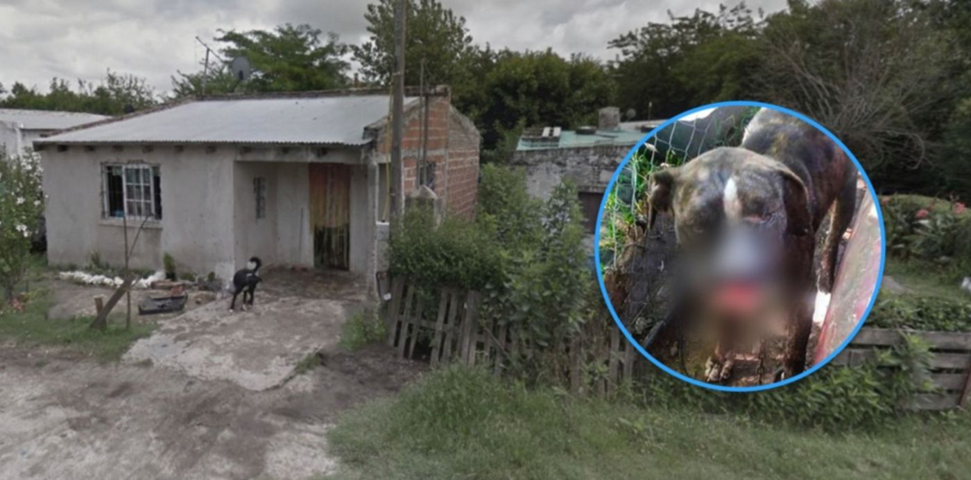 1539812453060.jpg?&cw=1920&ch=950