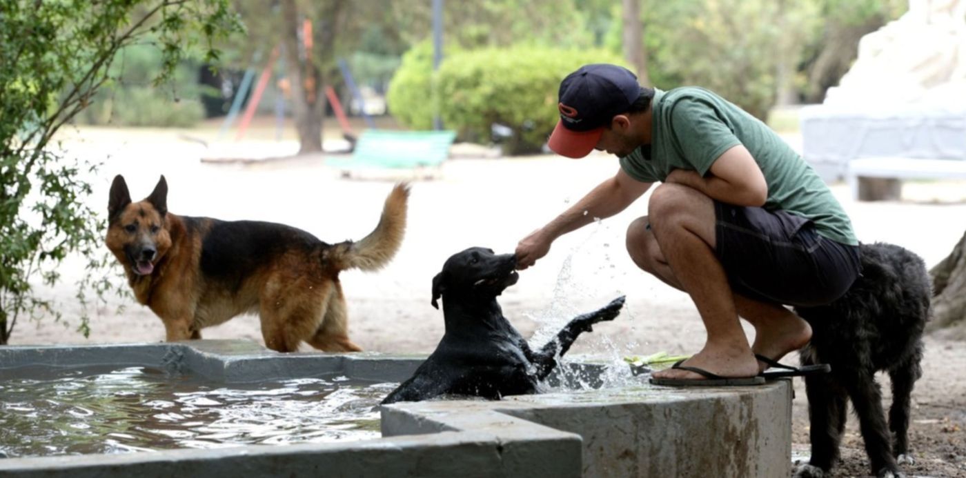 1640949406115.jpg?x=29&y=144&width=1462&height=732&rotate=0&scaleX=1&scaleY=1&ow=1500&oh=1010&&cw=1920&ch=950