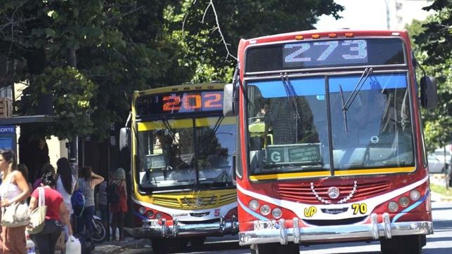 este sabado aumentan los transportes en la plata: ¿cuanto saldra viajar en micro y tren?