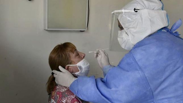 radiografia de la pandemia: asi crecieron los hisopados y los casos positivos en la plata