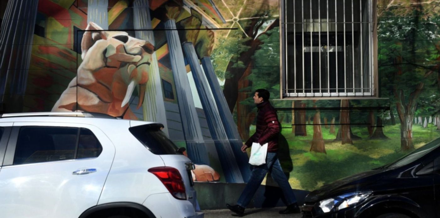 Clima Invierno Frío Ola polar