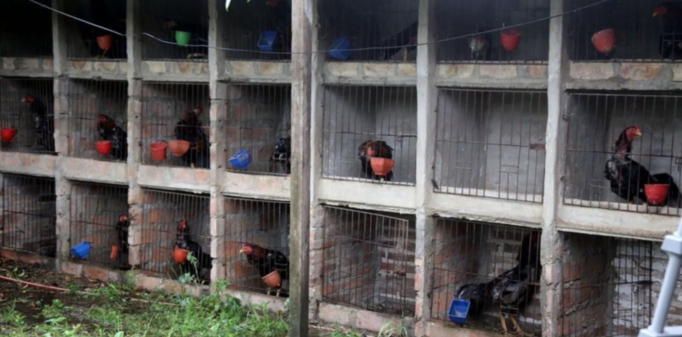 1603381890087.jpeg?x=24&y=87&width=1246&height=623&rotate=0&scaleX=1&scaleY=1&ow=1280&oh=824&&cw=1920&ch=950