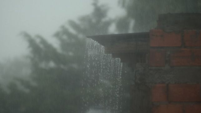 en medio del calor, anuncian tormentas: ¿a que hora llegarian a la plata?
