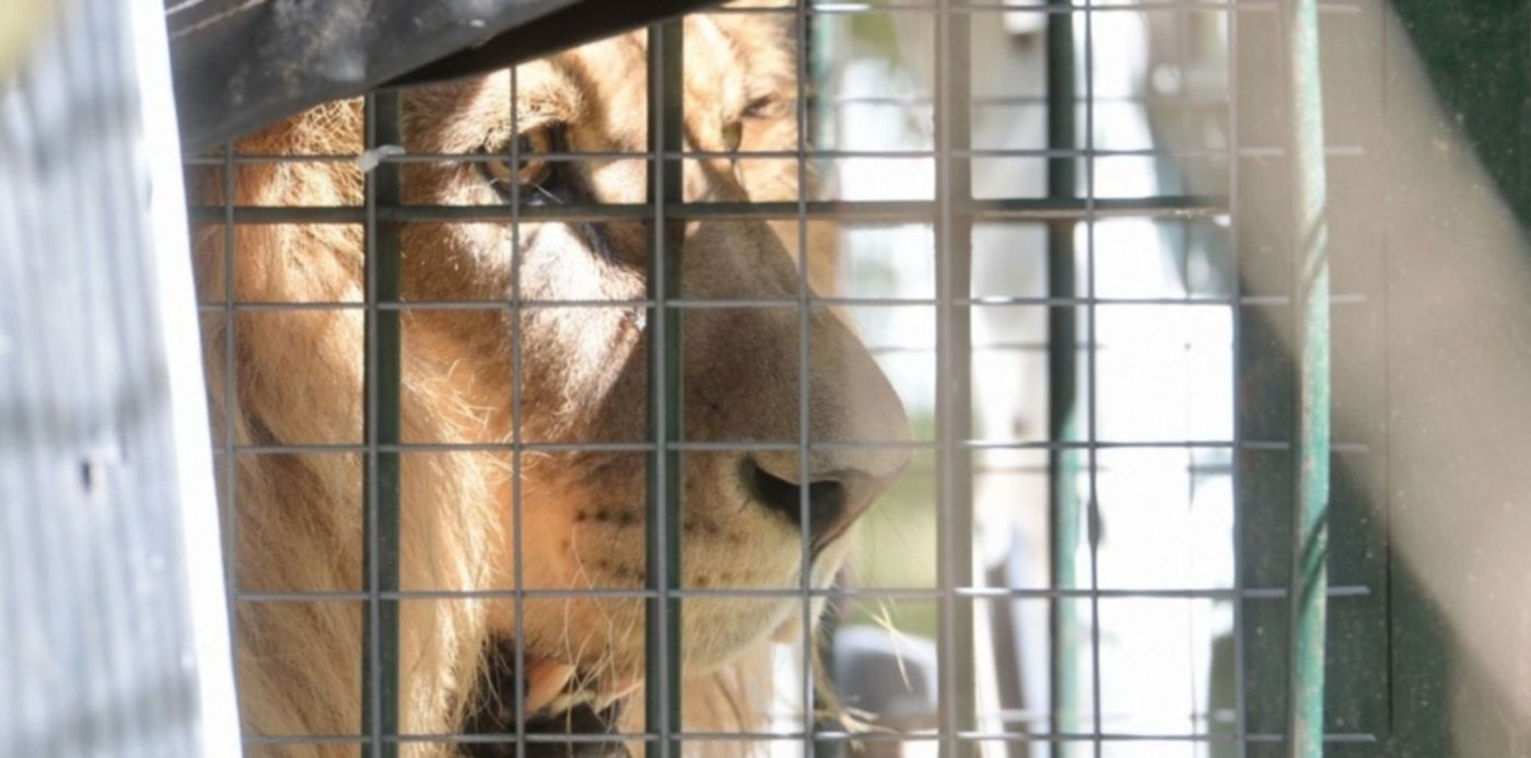 1543245257669.jpeg?&cw=1920&ch=950