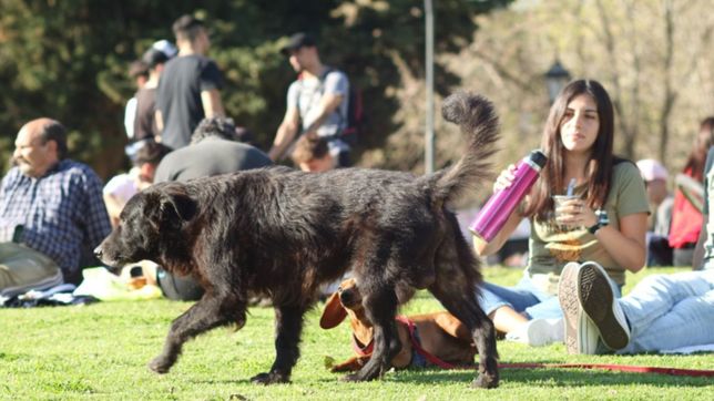 sigue el buen tiempo y sube la temperatura para disfrutar al aire libre en la plata