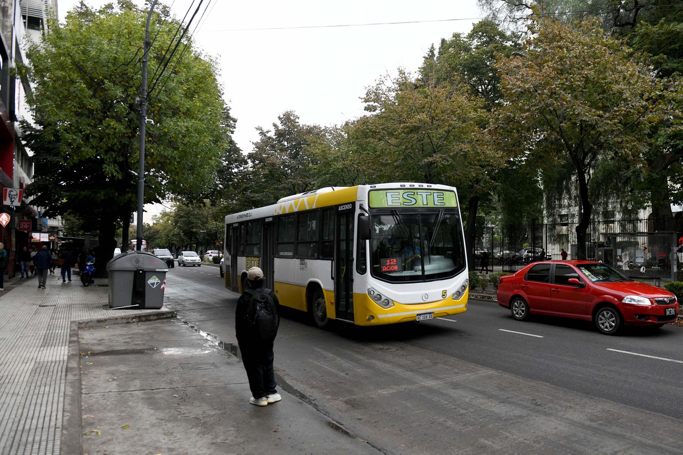 Micros colectivos (2)