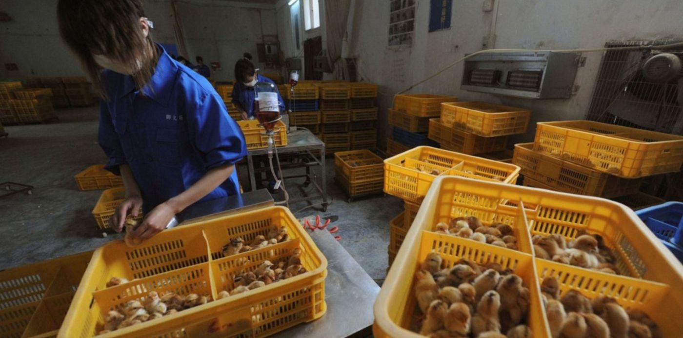 1622560580390.jpg?x=1&y=89&width=1498&height=749&rotate=0&scaleX=1&scaleY=1&ow=1500&oh=1012&&cw=1920&ch=950