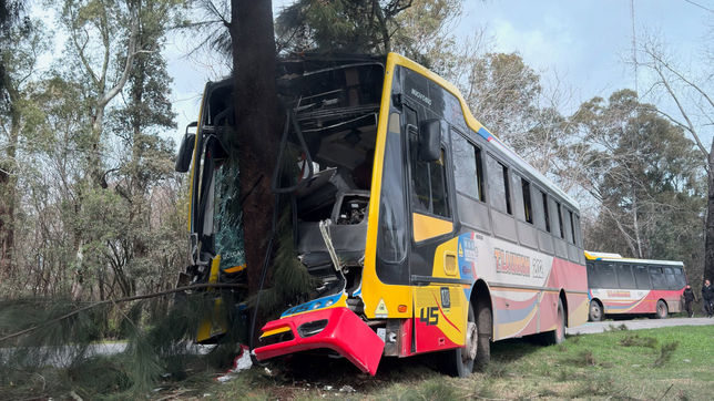 un micro de la linea 202 choco con un auto, se despisto y termino contra un arbol