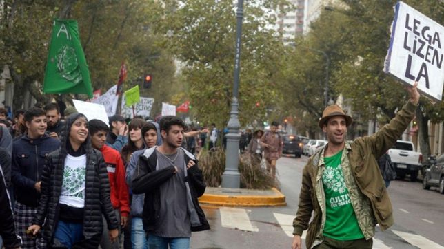 basta de allanamientos: cannabicultores de la plata y la region marchan a gobernacion