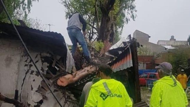 rafagas de 120 km/h, arboles caidos y media ciudad sin luz, las consecuencias del temporal