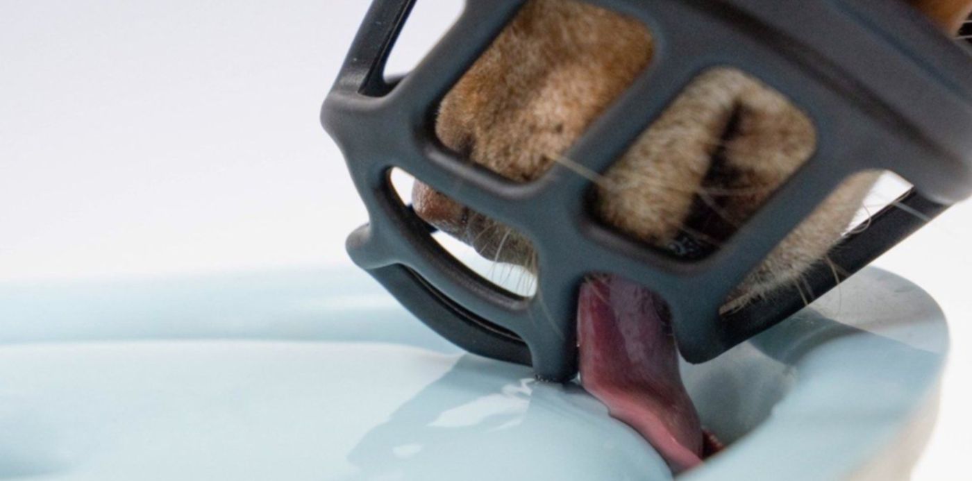 1554484425292.jpg?y=138&width=1178&height=589&scaleX=1&scaleY=1&ow=1200&oh=1004&x=6&rotate=0&&cw=1920&ch=950